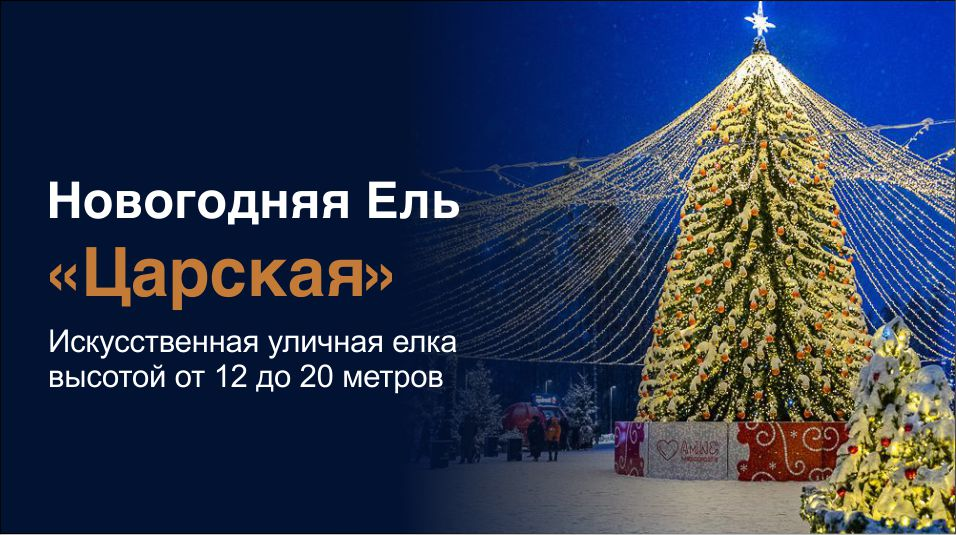 Новогодняя Ель Царская